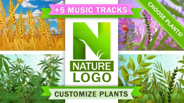 自然植物标志展示AE模板
