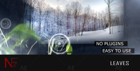 树叶背景照片展示AE模板