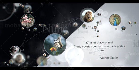 图像连接动画片头AE模板