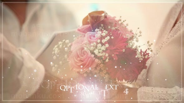 翻页素描效果婚礼AE模板