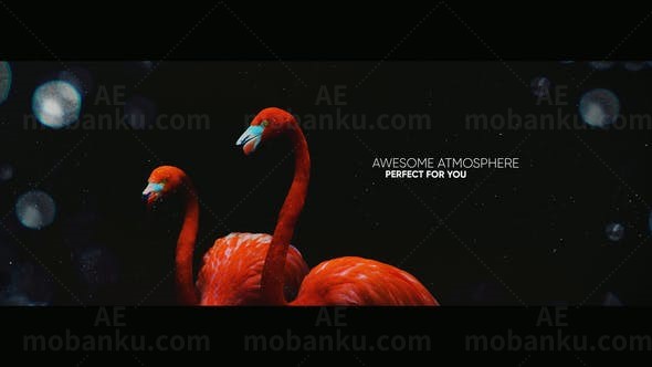 梦幻幻灯片展示片头AE模板