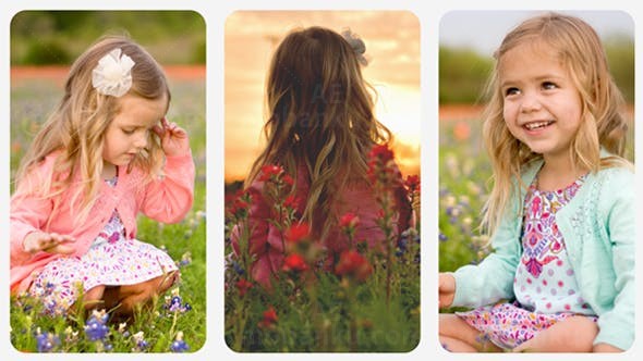 最美的记忆AE模板