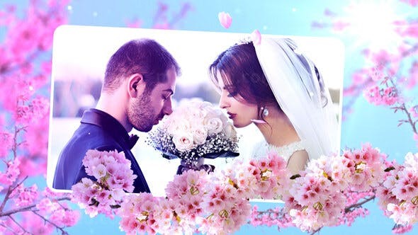 花朵树枝婚礼相册照片开场AE模板