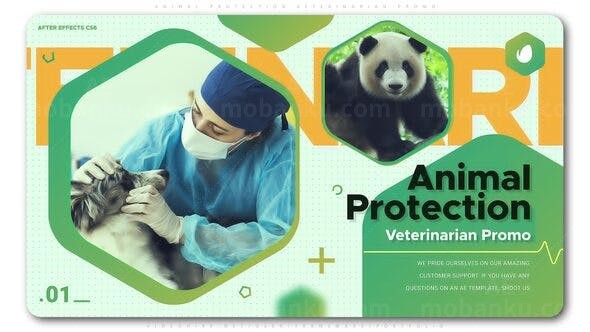 图文展示动画AE模板