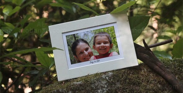 公园树上吊相片AE模板