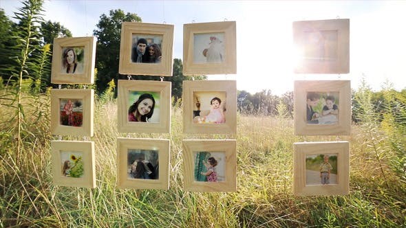 森林里挂木框架相片展示AE模板