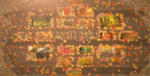 秋天的色彩AE模板