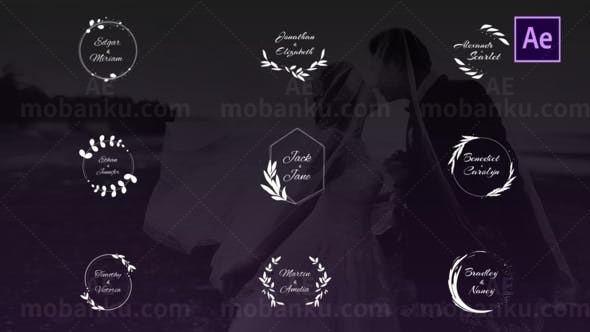 婚礼标题AE模板