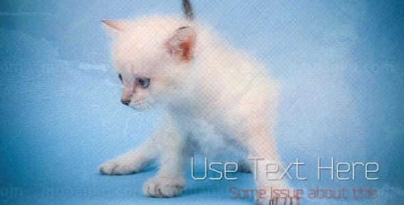 优雅的色彩分割幻灯图片AE模板