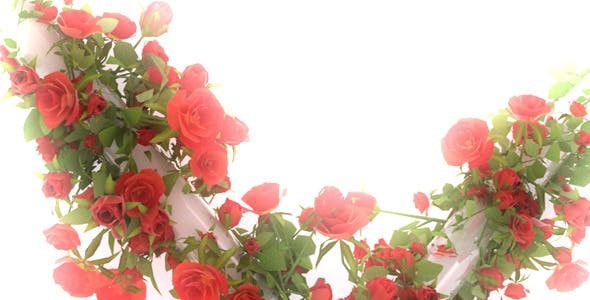 生长的玫瑰花婚礼片头AE模板