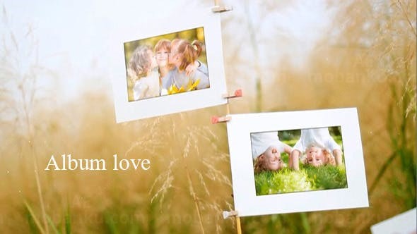 阳光明媚的草地上图片展示AE模板