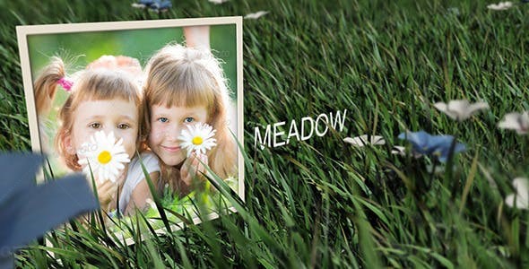 阳光明媚的草地上图片展示AE模板