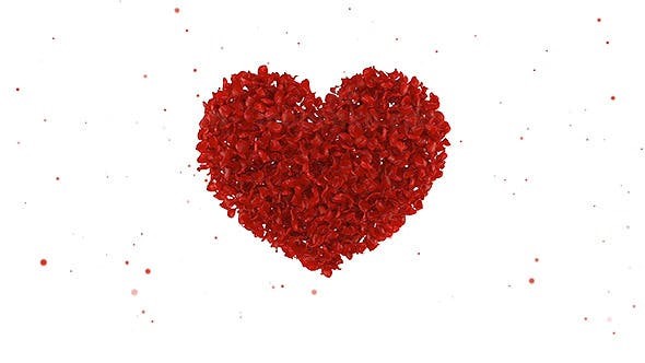 玫瑰婚礼婚庆相册动画AE模版