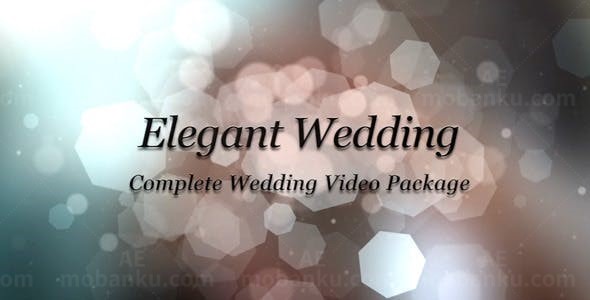 优雅的婚礼相册视频包装AE模版