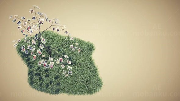 照片树相册AE模板