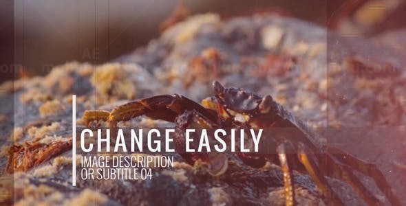 复古图片幻灯片AE模板