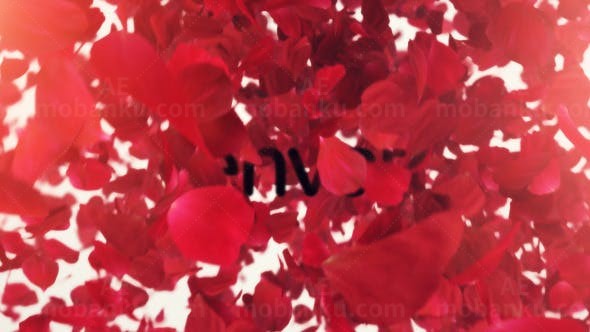 玫瑰花瓣LOGO标志展示AE模板