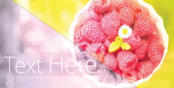 优雅幻灯片AE模板