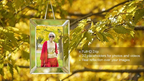 金秋相册AE模板