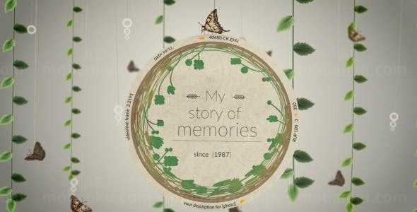 记忆故事相册AE模板