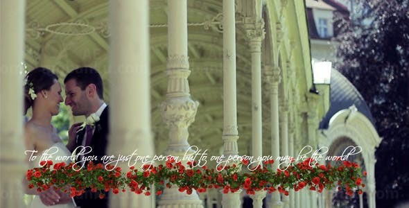 花朵婚庆字幕条AE模板