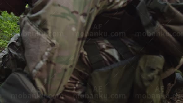 照片条运动圣诞树AE模板