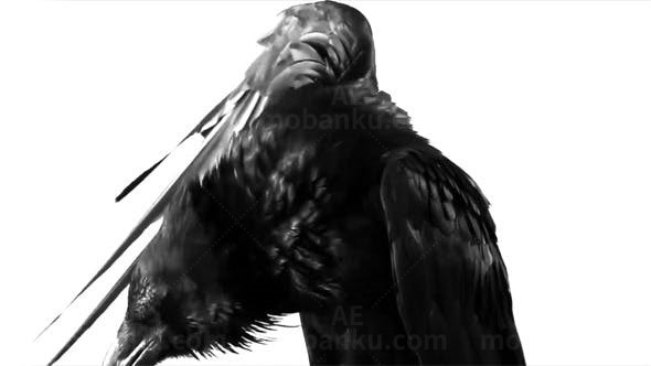 乌鸦动画标志演绎AE模板