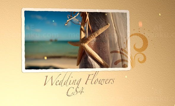 金色婚礼照片幻灯片展示AE模板