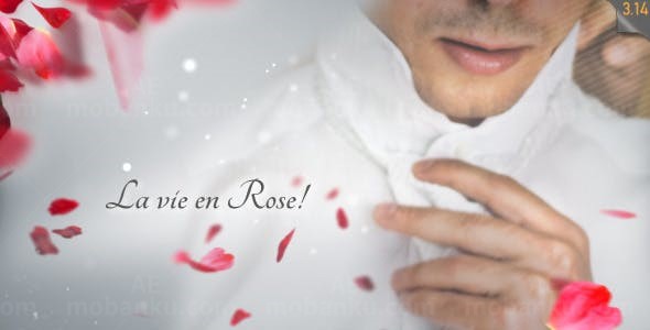 玫瑰花瓣飞舞效果婚礼宣传展示AE模板