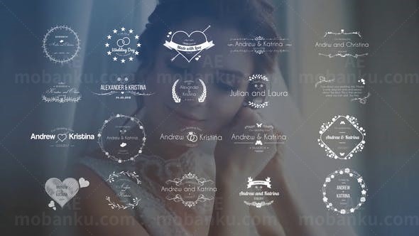 婚礼主题标题展示AE模板