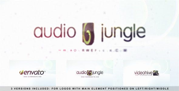 简介优雅圆形滑块揭示标志AE模板