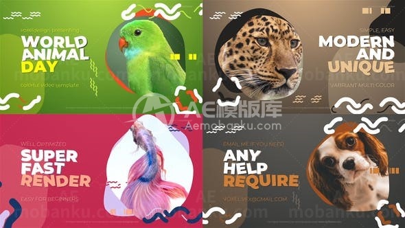国际动物日宣传片头AE模板