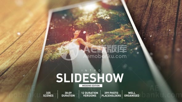 浪漫温馨风格幻灯片AE模板