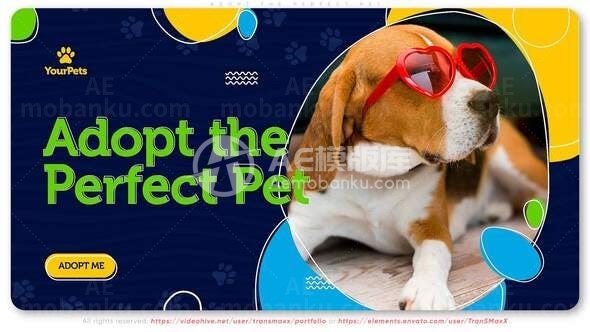 宠物动态视频宣传AE模板