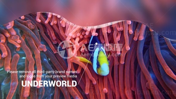 海洋生物视频幻灯片AE模板