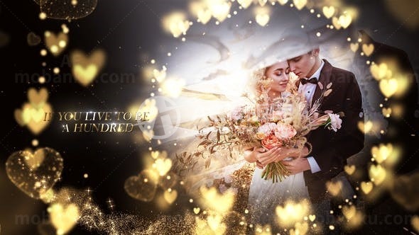 浪漫爱情照片幻灯片AE模板