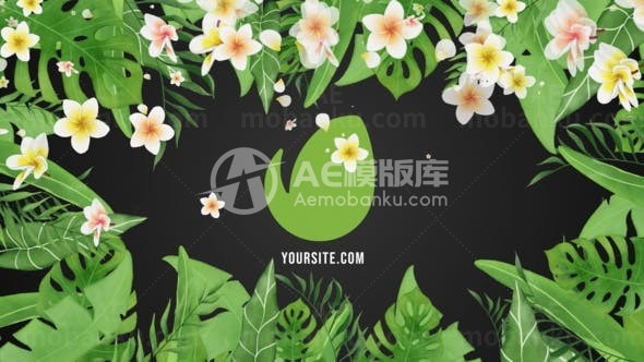 动画效果场景展示AE模板