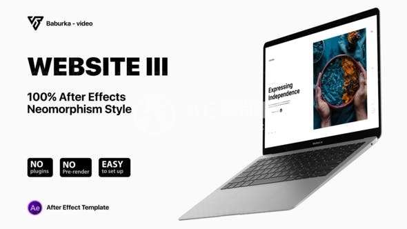 应用网站展示AE模板