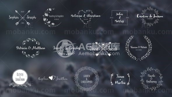 婚礼邀请函封面标题包AE模板