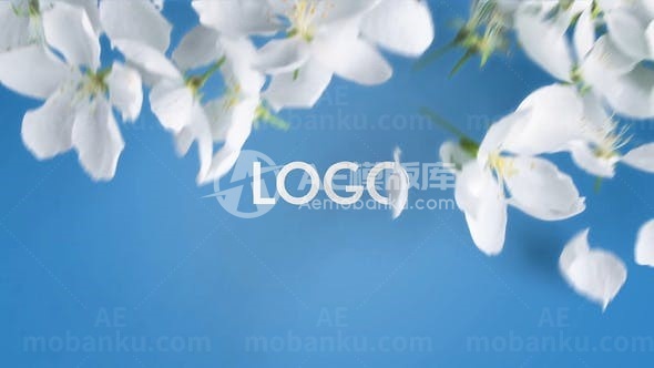 洁白花瓣吹散揭示标志片头AE模板