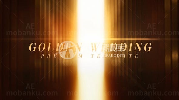 奢华背景颁奖典礼人物片头AE模板