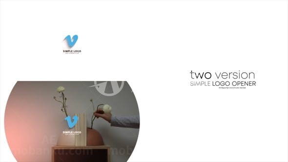 简单旋转对比效果三维标志AE模板