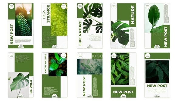 手机端自然清新植物图片视频展示AE模板