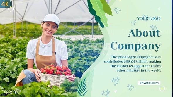 农业有机蔬菜动态展示幻灯片AE模板