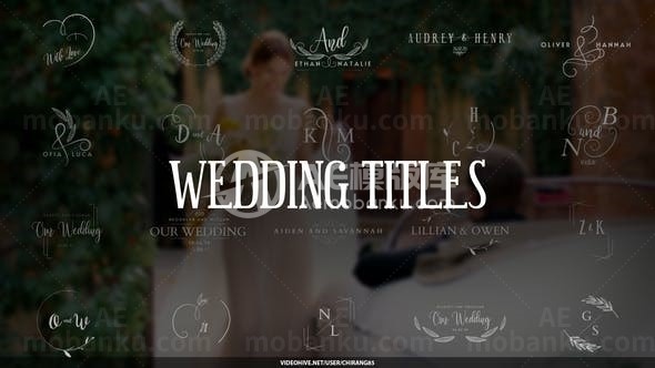 浪漫白色艺术文字标题展示AE模板