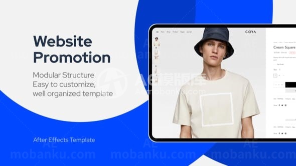 网站应宣传促销推广视频AE模板