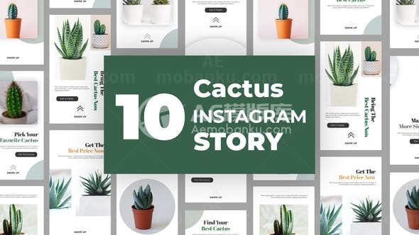 手机端仙人掌推广宣传促销展示AE模板