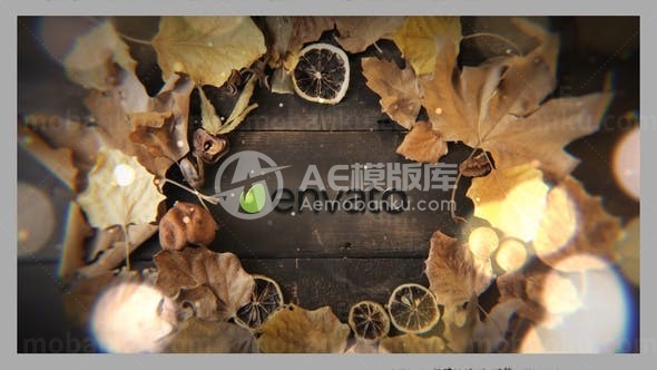 金秋落叶双手揭示标志展示AE模板