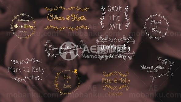 浪漫婚礼彩色图形装饰文字标题AE模板