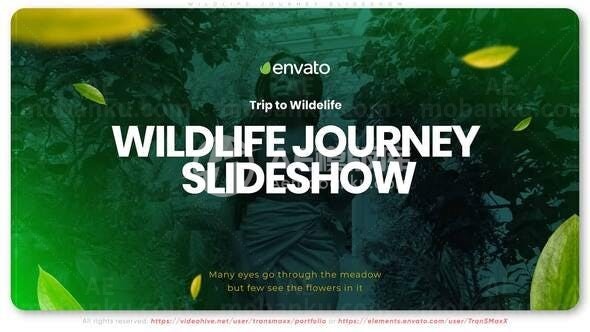 丛林旅行图文版式视频幻灯片AE模板